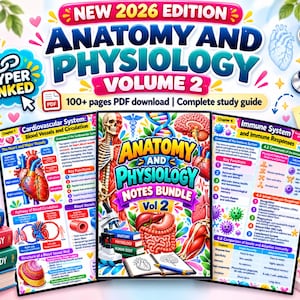May include: Anatomy and Physiology Volume 2 study guide PDF download featuring colorful educational charts on the cardiovascular and immune systems, a central notes bundle cover, a stethoscope, and stacked books labeled Anatomy, Physiology, and Human Body.