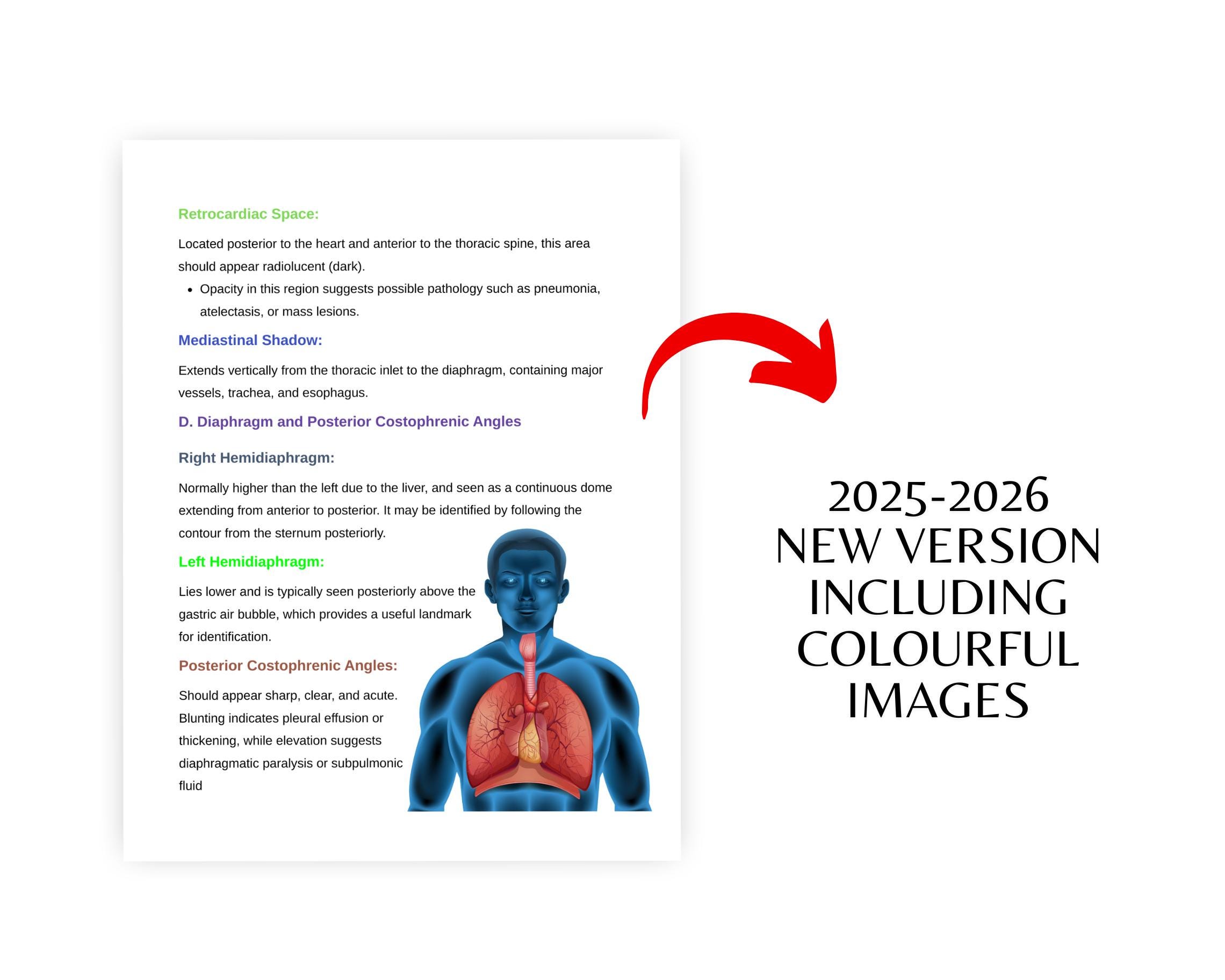 Chest X-ray Anatomy Study Guide , X Ray Positioning Guide , X RAY ...