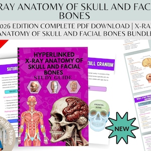 May include: A bundle of educational materials on X-ray anatomy of the skull and facial bones. The cover of the study guide is purple with illustrations of skulls and anatomical figures. The text includes "X-RAY ANATOMY OF SKULL AND FACIAL BONES" and "2026 EDITION COMPLETE PDF DOWNLOAD".