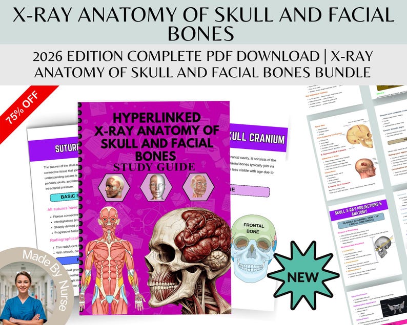Skull and Facial Bones X-ray Anatomy Study Guide (digital Download PDF ...