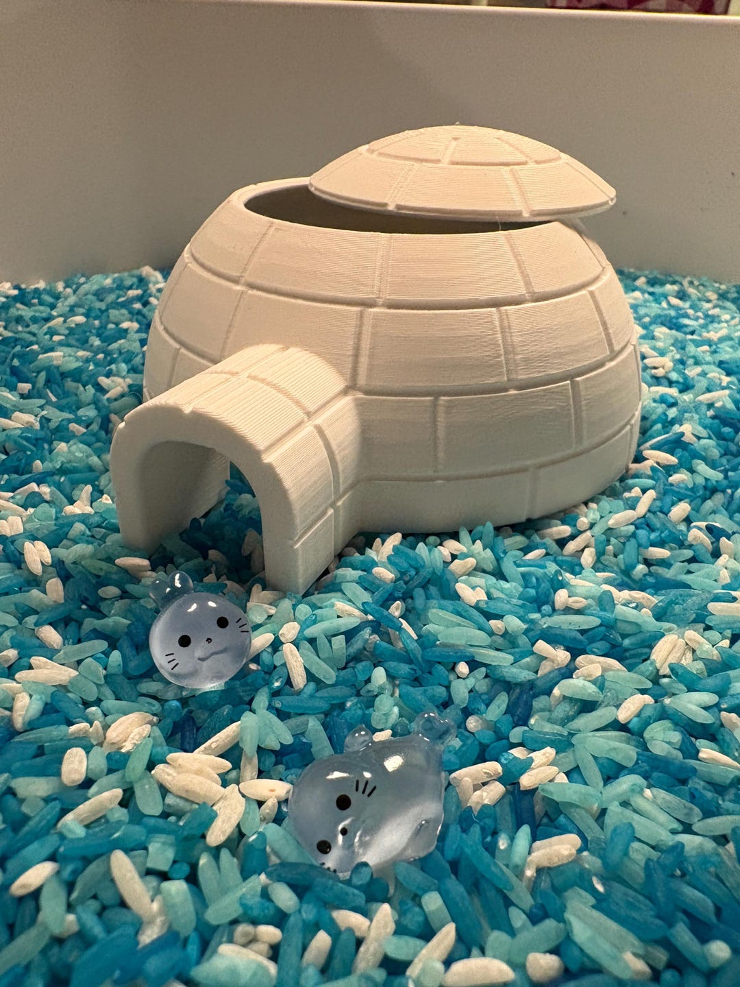 3D Igloo With a Removable Roof | Sensory Play Theme Winter and North ...