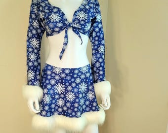 Blue and white snowflake set