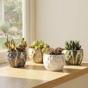 May include: Four small, decorative ceramic pots with various succulents. The pots are in shades of gray, white, and green, with textured and geometric designs. The plants include cacti and other succulents.