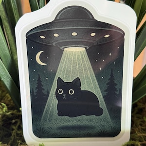 UFO Kitty Loaf, chat noir, chat paranormal, cryptide