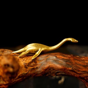 Può includere: Una scultura dorata di un plesiosauro, un rettile marino preistorico, appoggiata su un pezzo di legno. La scultura ha un lungo collo e piccole pinne. Il legno è di colore marrone-rossastro e ha una superficie strutturata.