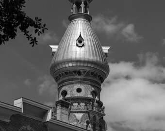Domo de la Universidad de Tampa