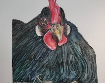 Black Australorp laying Chicken Watercolor painting,  Watercolor Chicken,  Farm Animals Painting,  Black Chicken, Laing Hen Art