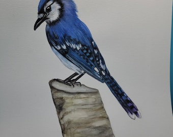 Original watercolor Blue Jay painting,  Blue Jay art, home decor, Blue Jay Painting,  Bird lover gift, Blue Jay