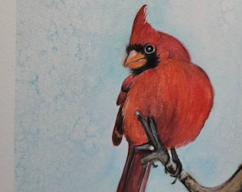 Original Cardinal on a branch watercolor painting,  Bird art, Red Cardinal,  Home Decor. Garden Art, 5" x 7" Cardinal watercolor