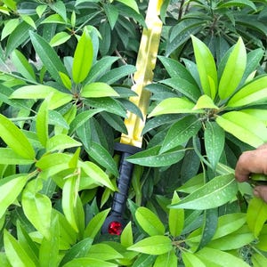 Finn&#39;s Scarlet golden blade  Sword - Rooted Blade Replica Inspired by Adventure Time sword