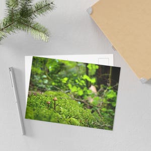Cartoline artistiche ispirate alla natura, set di cartoline panoramiche, stampe artistiche botaniche, biglietti d'auguri ecologici, perfetti per gli amanti della natura