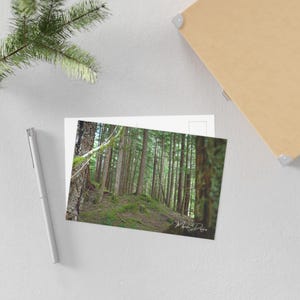 Piękne pocztówki z krajobrazami spokojnego lasu, wydruki fotografii przyrodniczej, kartki okolicznościowe, wystrój domu, pomysły na prezenty, ekologiczne artykuły piśmiennicze