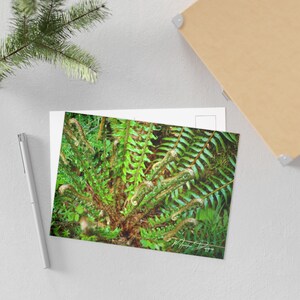 Fine Art Postkarten, Natur Postkarten, Natur inspirierte Postkarten, Natur inspirierte Postkarten, Farn Kunstkarten, Geschenk für Sie,