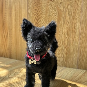 Op de afbeelding: Een zwarte pluchen hond met een rode halsband en een label met de tekst "TOP DOG". De hond heeft een roze tong die uitsteekt en staat op een houten oppervlak. De vacht van de hond is donker en pluizig en hij heeft rechtopstaande oren.