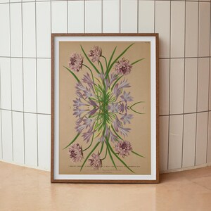 Purple Flowers - Vintage Botanical Art Print – 1880s Floral Illustration – Antique Digital Download – Printable Wall Decor for Home