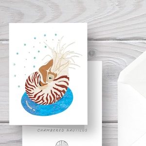 May include: A greeting card featuring a colorful illustration of a chambered nautilus with the text "Chambered Nautilus" on the front. The back of the card has the text "www.whimsyfolk.com, California Made."
