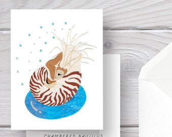 May include: A greeting card featuring a colorful illustration of a chambered nautilus with the text "Chambered Nautilus" on the front. The back of the card has the text "www.whimsyfolk.com, California Made."