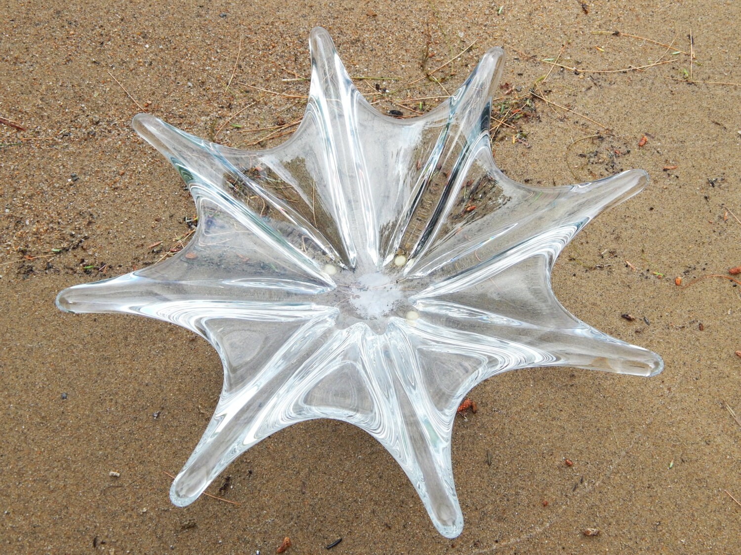 Starfish bowl Starfish Art Baccarat Starfsh glass bowl Etsy