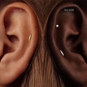 Op de afbeelding: Twee oren met sieraden. Het linkeroor, gelabeld GOLD, heeft een kleine, gladde, langwerpige gouden oorsteker. Het rechteroor, gelabeld SILVER, heeft een kleine zilveren ster-oorsteker en een kleine, gladde, langwerpige zilveren oorsteker eronder.