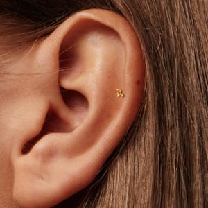 May include: A small gold-colored earring stud shaped like two cherries with a stem, positioned in the upper cartilage area of an ear. The jewelry features a polished metallic finish and a simple, delicate design that sits flush against the skin.