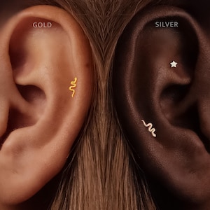 May include: A gold-colored snake-shaped stud earring is shown on the left ear, labeled GOLD. On the right ear, labeled SILVER, there is a silver-colored star-shaped stud earring and a silver-colored snake-shaped stud earring worn as cartilage piercings.
