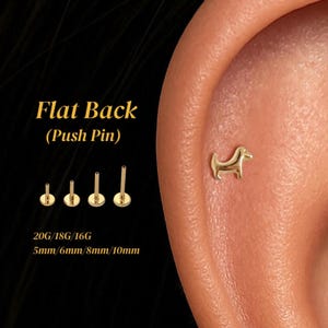 20G/18G/16G Dog Flat Back Earring • Threadless Titanium Push Pin Stud • Conch, Tragus, Helix, Lobe, Cartilage, Nose Piercing