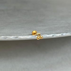 May include: A gold-toned stud earring featuring a small cherry motif with two round spheres attached to a single stem and a small leaf. The earring includes a flat circular backing post, designed for secure placement in a piercing.