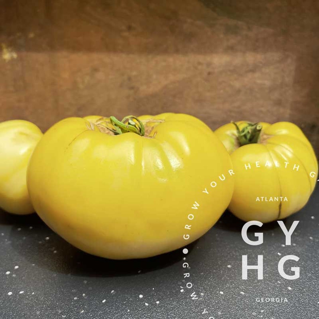 Great White Heirloom Lowacid Tomato Seeds Etsy