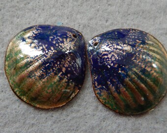 Enamel Jewelry Findings: Clam Shell Pair 2018 F-414