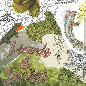 Squamata: collage di lucertole e serpenti, stampa