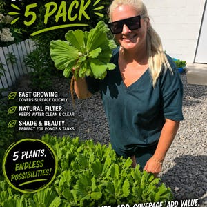 Water Lettuce 5 pack Full-Size by Only Plants live floating plant aquatic water lettuce plant pistia stratiotes natural pond filter