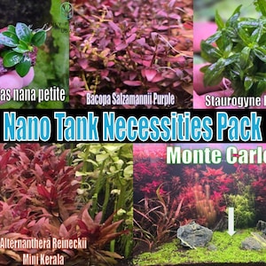 Nano Tank Necessities Plant Pack live aquatic plant freshwater fish tank natural algae control fish habitat shrimp aquarium aquascape