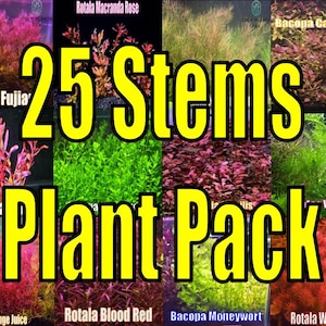 May include: A plant pack featuring a variety of aquatic plants, including Rotala and Bacopa species. The image displays a collage of colorful plants, with the text "25 Stems Plant Pack" in large yellow letters.