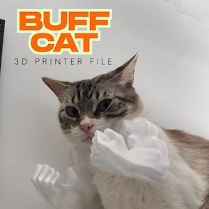 Pode incluir: Um gato com pelagem cinza e branca usando braços brancos impressos em 3D. A imagem tem o texto "BUFF CAT" em letras laranja acima de "3D PRINTER FILE". O gato está olhando para a câmera.