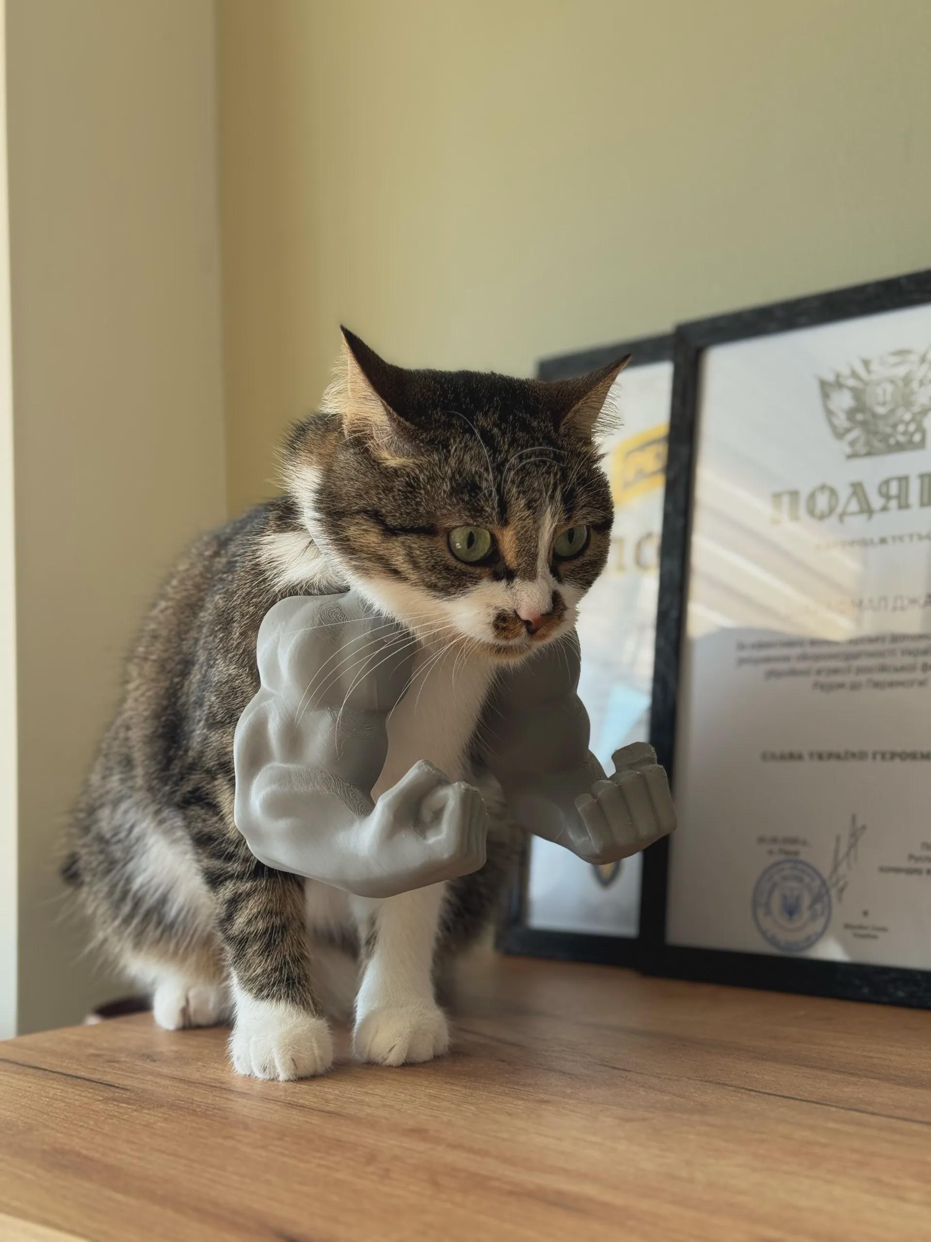 Bras Musclé Pour Chat – Accessoire D’Halloween Drôle, Cosplay Imprimé 3D Léger Et Réglable Pour Animal De Compagnie