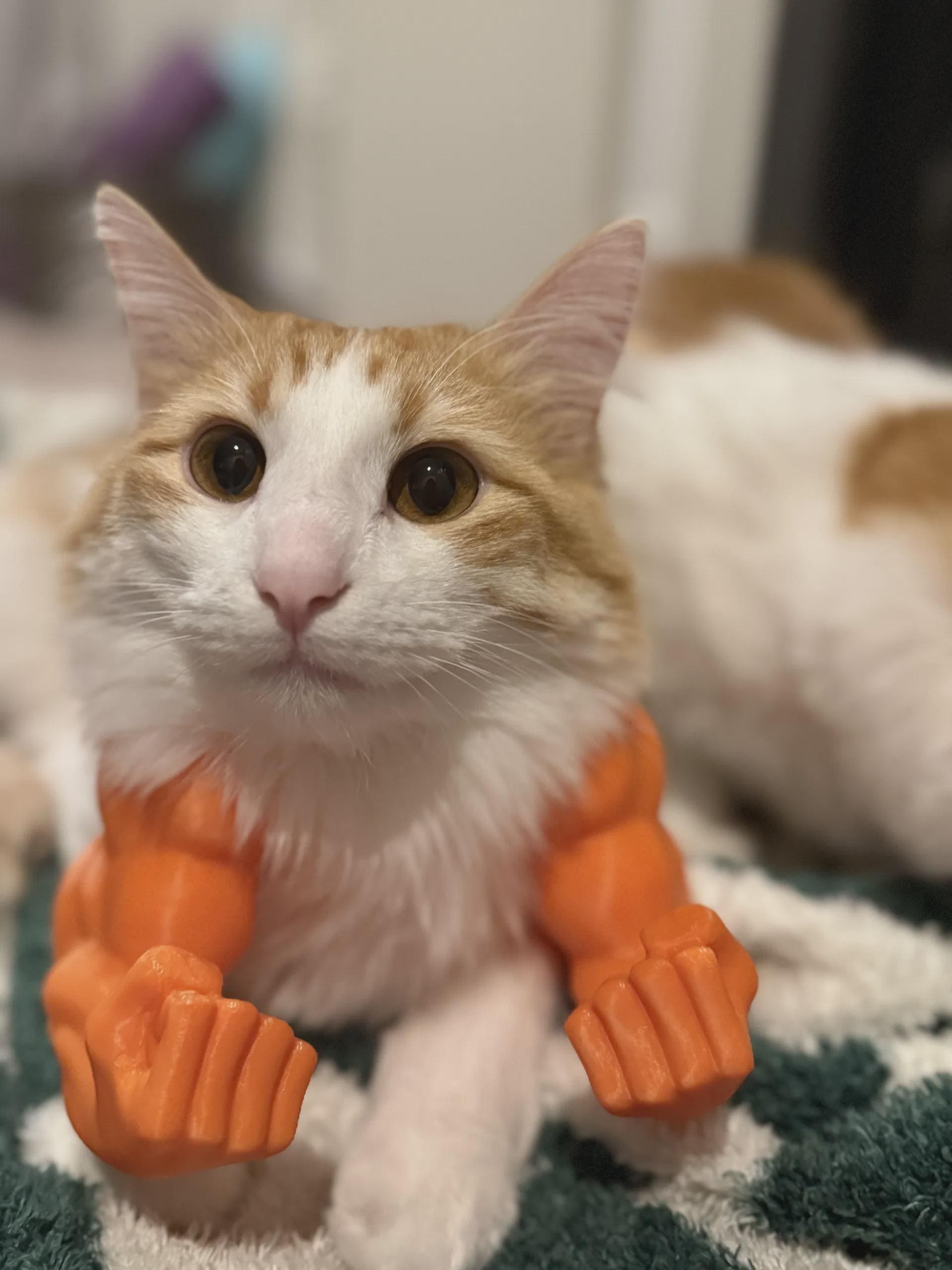 Costume Bras Musclés Pour Chat - Impression 3D, Cosplay Humoristique, Fêtes Et Photos Drôles - 7