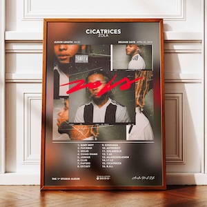 Album poster di Zola Scars | Poster dell'album Zola | Manifesto del rapper | Poster da parete dell'album | Manifesto dell'album musicale | Manifesto del rap francese