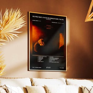May include: A framed poster with the text "DU PEU QUE J'AI EU DU MIEUX QUE J'AI PU" in black and white. The poster features a dark image of a person and a list of song titles. The poster is displayed on a brown wall.