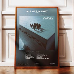 Póster del álbum "To Life To Death" de SDM | Póster del álbum de SDM | Póster de rapero | Póster de arte mural del álbum | Póster de álbum musical | Póster de rap francés