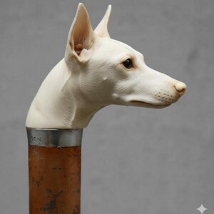 May include: A walking cane with a white dog head handle. The dog head is detailed with visible eyes, nose, and ears. The cane's shaft is brown with a silver band at the base of the dog head. The text "SGN." is visible on the silver band.