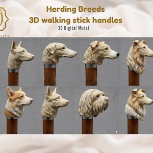 Vallhunds käpphandtag 3D-modeller STL Border Collie Schäfer Corgi Cane Top CNC Relief & 3D-utskriftsfiler