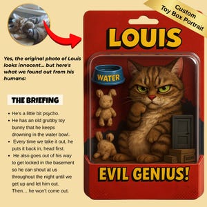 Custom Pet Action Figure | Toy Box Portrait | Personalized Cat Action Figure Art | Funny Digital Cat Poster | Pet Toy Style Keepsake