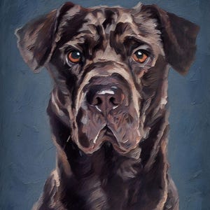 Custom Pet Portraits Using Pet Photo Personalized Digital Dog Portraits Cat Portraits Custom Dog Portraits Custom Pet Art Pet Drawing Poster
