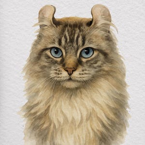 Gifts for Pets Cat Memorial Gift Custom Portrait Gift Pet Portrait Dog Memorial Pet Loss Gift Cat Loss Dog Mom Gift Personalized Pet Gifts