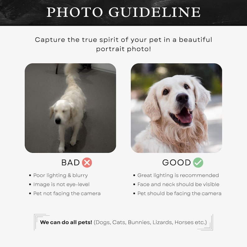 Puede incluir: Gu&iacute;a fotogr&aacute;fica para retratos de mascotas. La imagen muestra ejemplos de fotos de mascotas buenas y malas. La foto "mala" es borrosa y mal iluminada, mientras que la foto "buena" tiene buena iluminaci&oacute;n y la mascota mira a la c&aacute;mara.