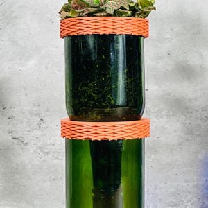 Puede incluir: Una jardinera de vidrio verde de dos niveles con un borde naranja tejido. El nivel superior contiene una pequeña planta con hojas verdes y rosas. La jardinera se encuentra sobre una superficie de madera sobre un fondo gris.