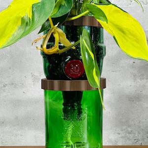 May include: A green glass planter with a plant featuring large, variegated leaves of green and yellow. The planter is made from two repurposed bottles, stacked and connected with brown rings. The plant is labeled "Philodendron".