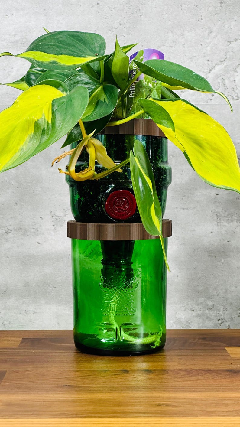 May include: A green glass planter with a plant featuring large, variegated leaves of green and yellow. The planter is made from two repurposed bottles, stacked and connected with brown rings. The plant is labeled "Philodendron".