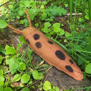 Wool Felt Big Slug
