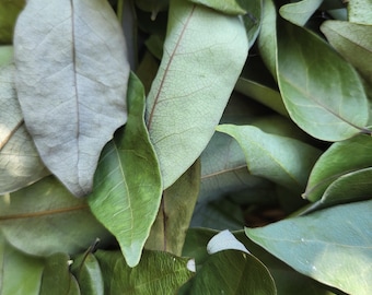 Wild Grown Air Dried Myrtle Leaves - 25 grams